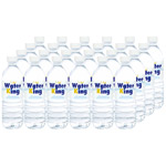 ウォーターキング500mlペット24本セット